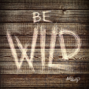 Be wild madera – Dirty Harry